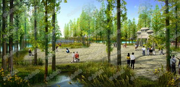 湿地旅游策划规划设计 云南绿维