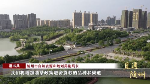 把小油茶做成 大文章