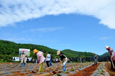 建设绿色基地 促进产业兴旺 宣威亚开行项目实施效果受到称赞