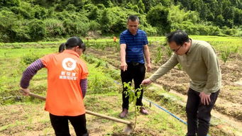 连平青年回乡后,给自己定了三个五年计划,现如今