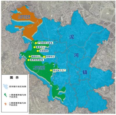 安徽首家“林地不动产”营销中心揭幕