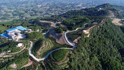 永川区农业综合开发项目风采